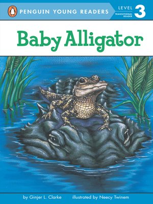 cover image of Baby Alligator